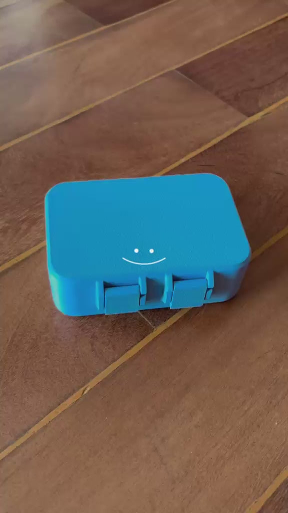 Caixa Casinha Bichos Articulados
